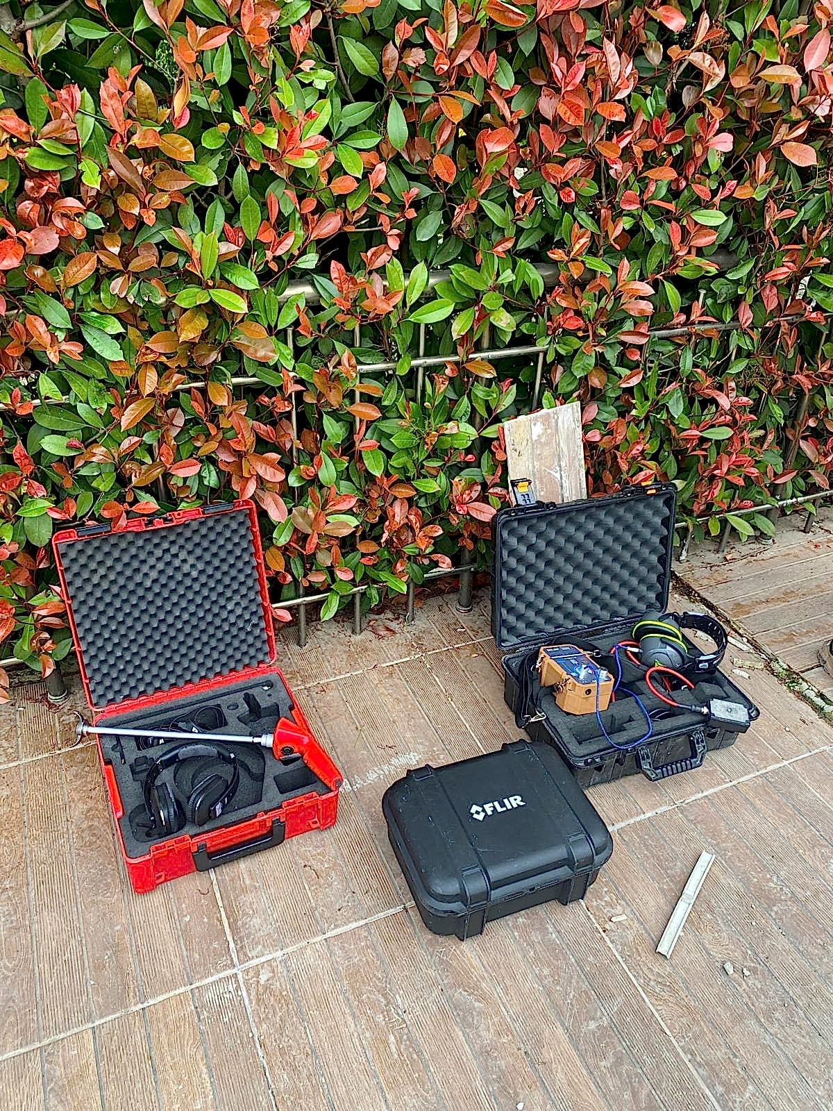 c01003ae 43c7 4c00 a8a7 929c03ae5cec